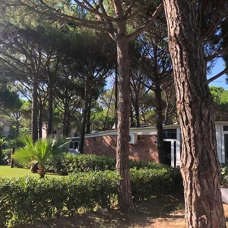 Seaview Apartment-qerret Apartamento